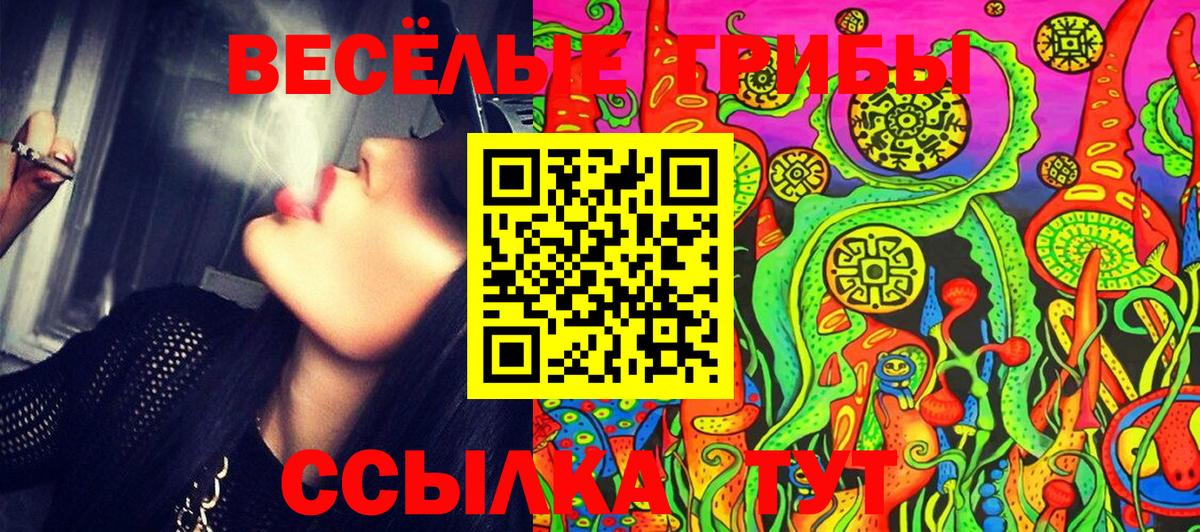 Галлюциногенные грибы MAGIC MUSHROOMS Новокубанск